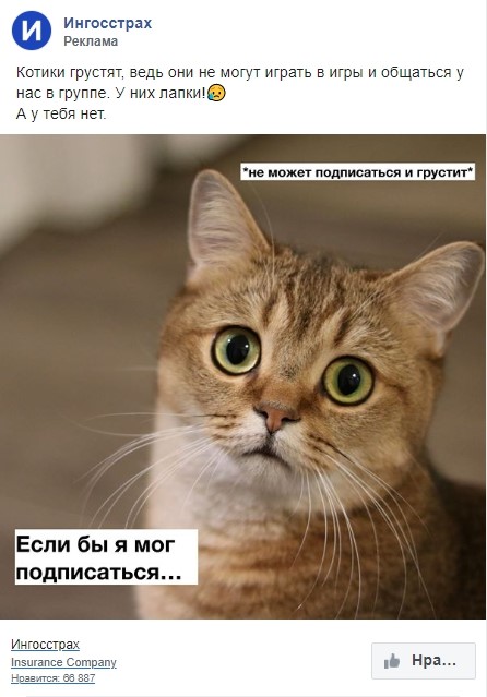 Котики в рекламе «Ингосстраха» Котики в рекламе «Ингосстраха»